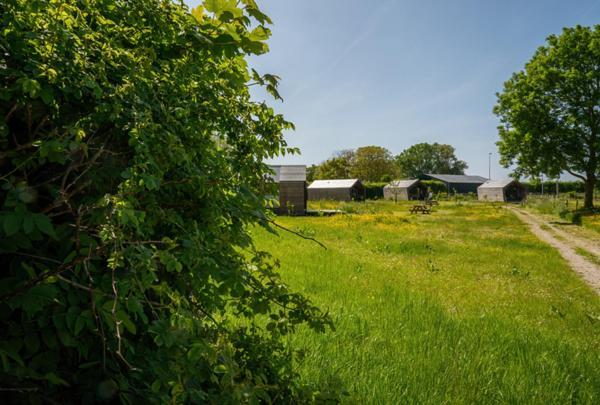 Natuurhuisjes Lust En Last Sommelsdijk Zewnętrze zdjęcie