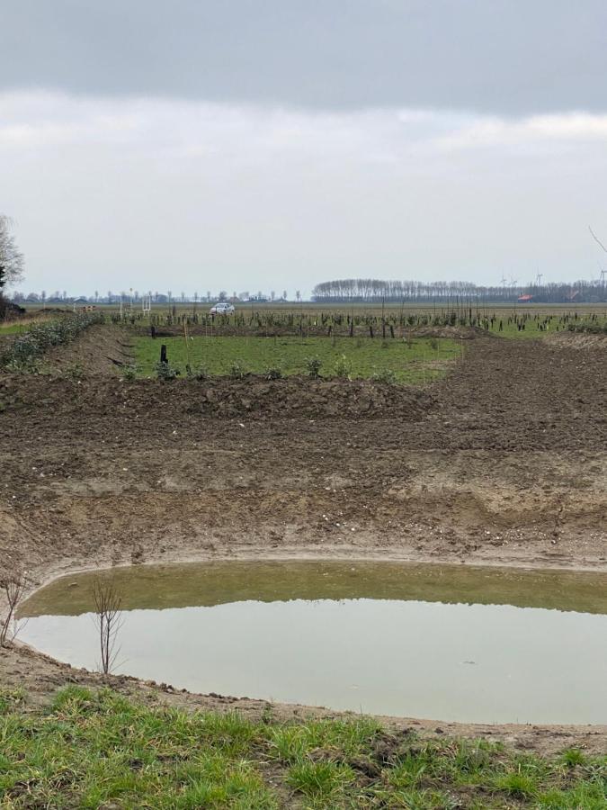 Natuurhuisjes Lust En Last Sommelsdijk Zewnętrze zdjęcie