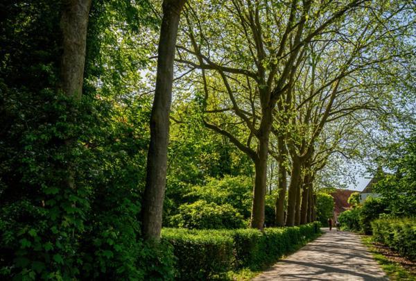 Natuurhuisjes Lust En Last Sommelsdijk Zewnętrze zdjęcie